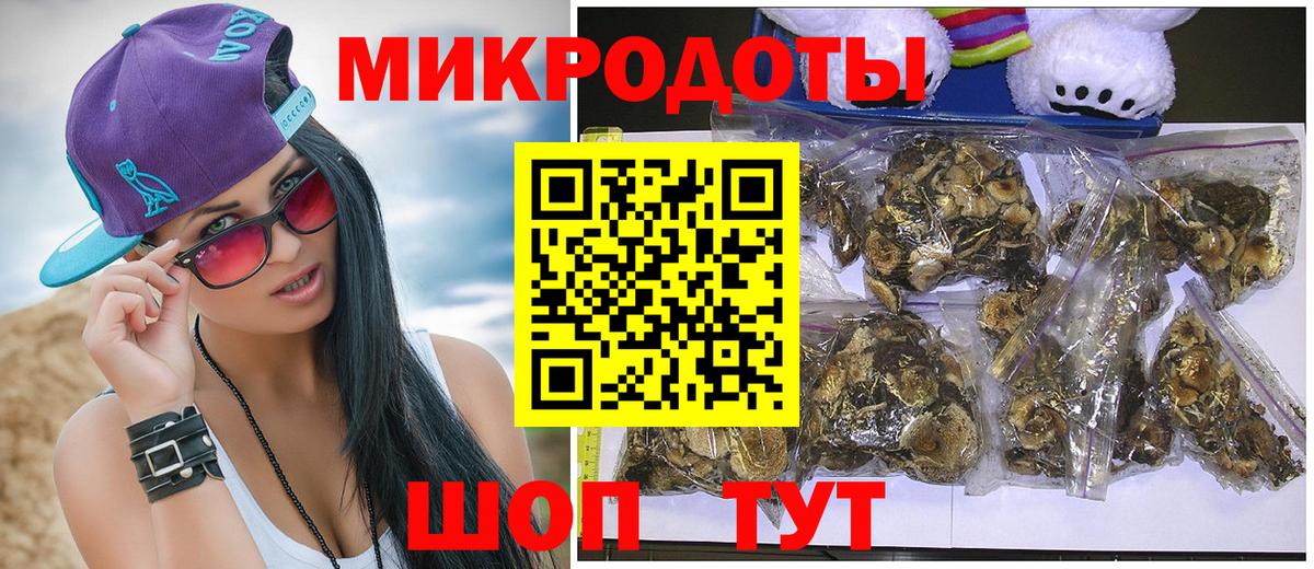 Галлюциногенные грибы Psilocybe  Вход с VPN  Волгоград 