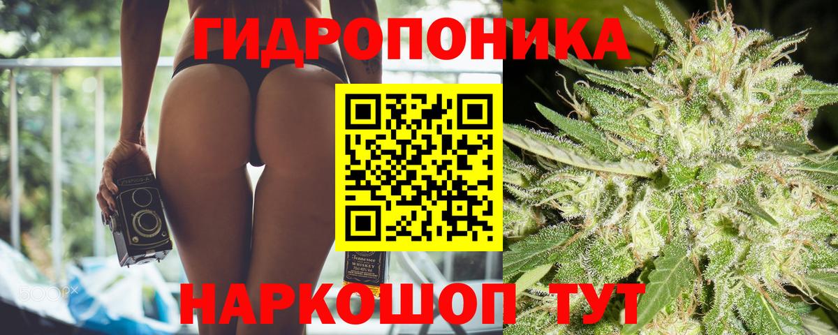 Каннабис AK-47  Конопля MAZAR  МАРИХУАНА OG Kush  Вход с VPN  Волгоград  Бошки марихуана ГИДРОПОН 